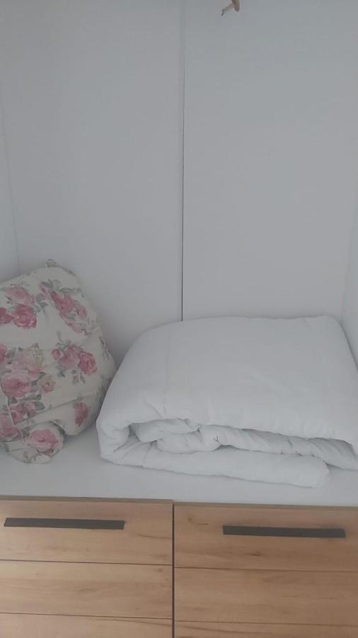 Coresi, 2 Camere, Sleeps 6 Large Private Garden Apartment Pets Welcome บราชอฟ ภายนอก รูปภาพ